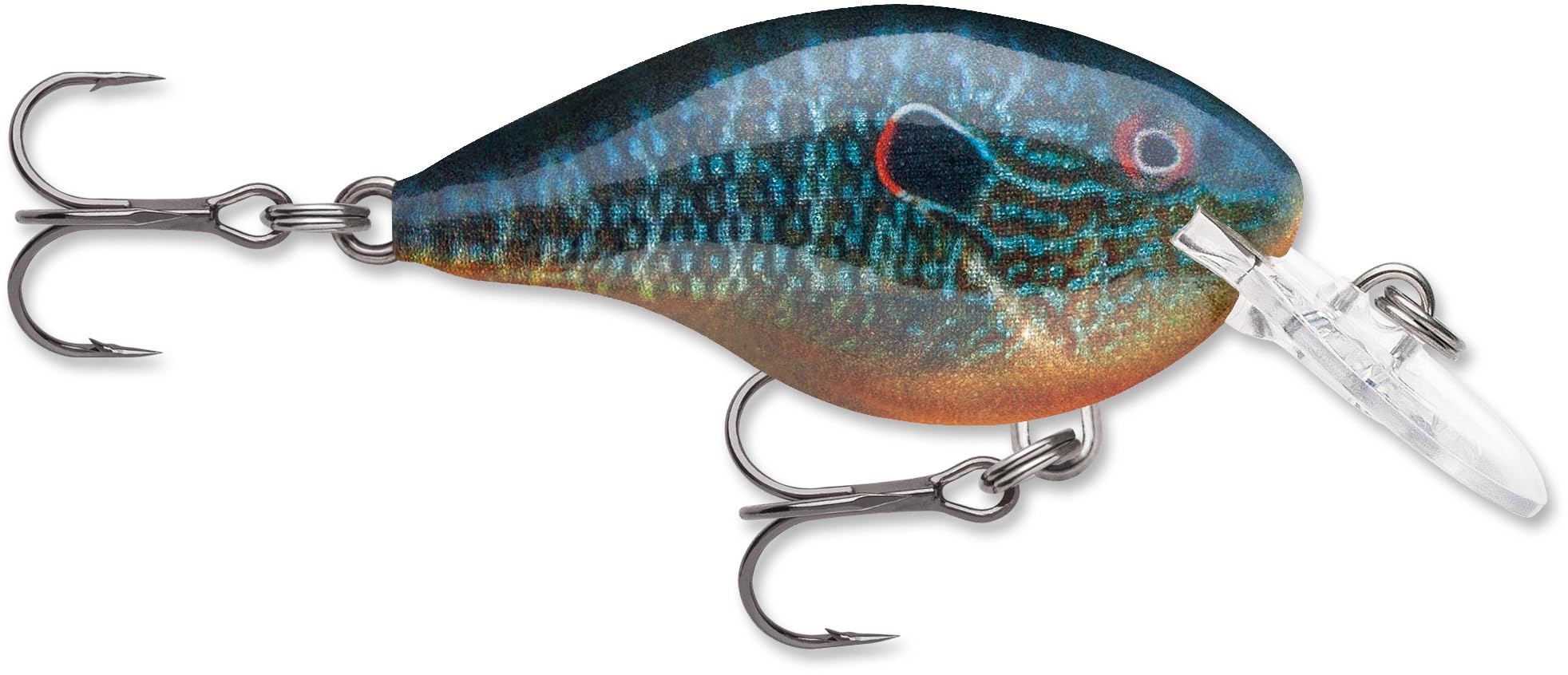 Amazon.com : Rapala Dives-to Crankbait, Diving Hard Bait Lure